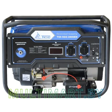 Бензиновый генератор ТСС SGG 2800EN картинка 2